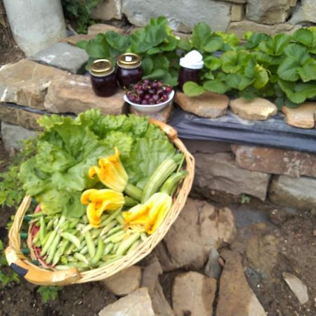Agriturismo Allo Scoglio - Azienda Agricola 트리에스테 외부 사진