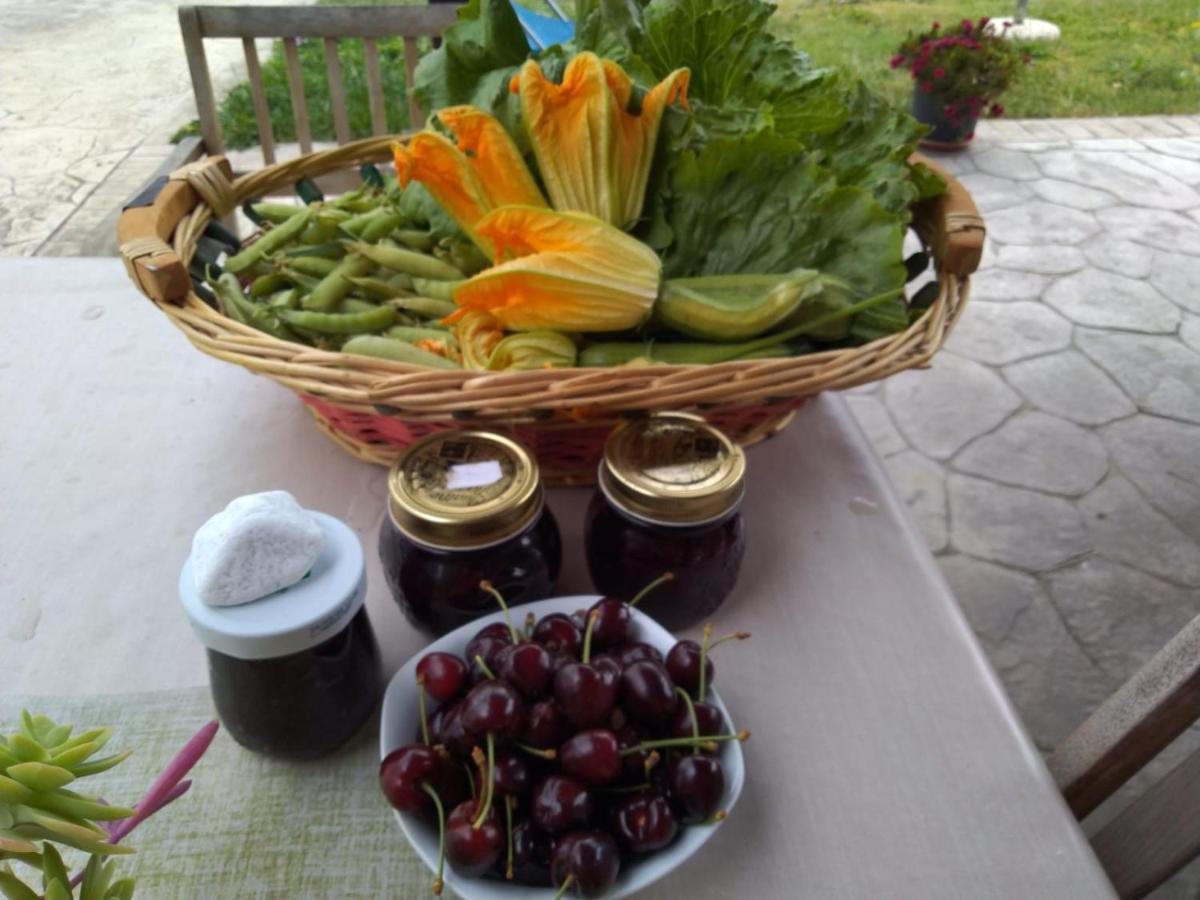 Agriturismo Allo Scoglio - Azienda Agricola 트리에스테 외부 사진